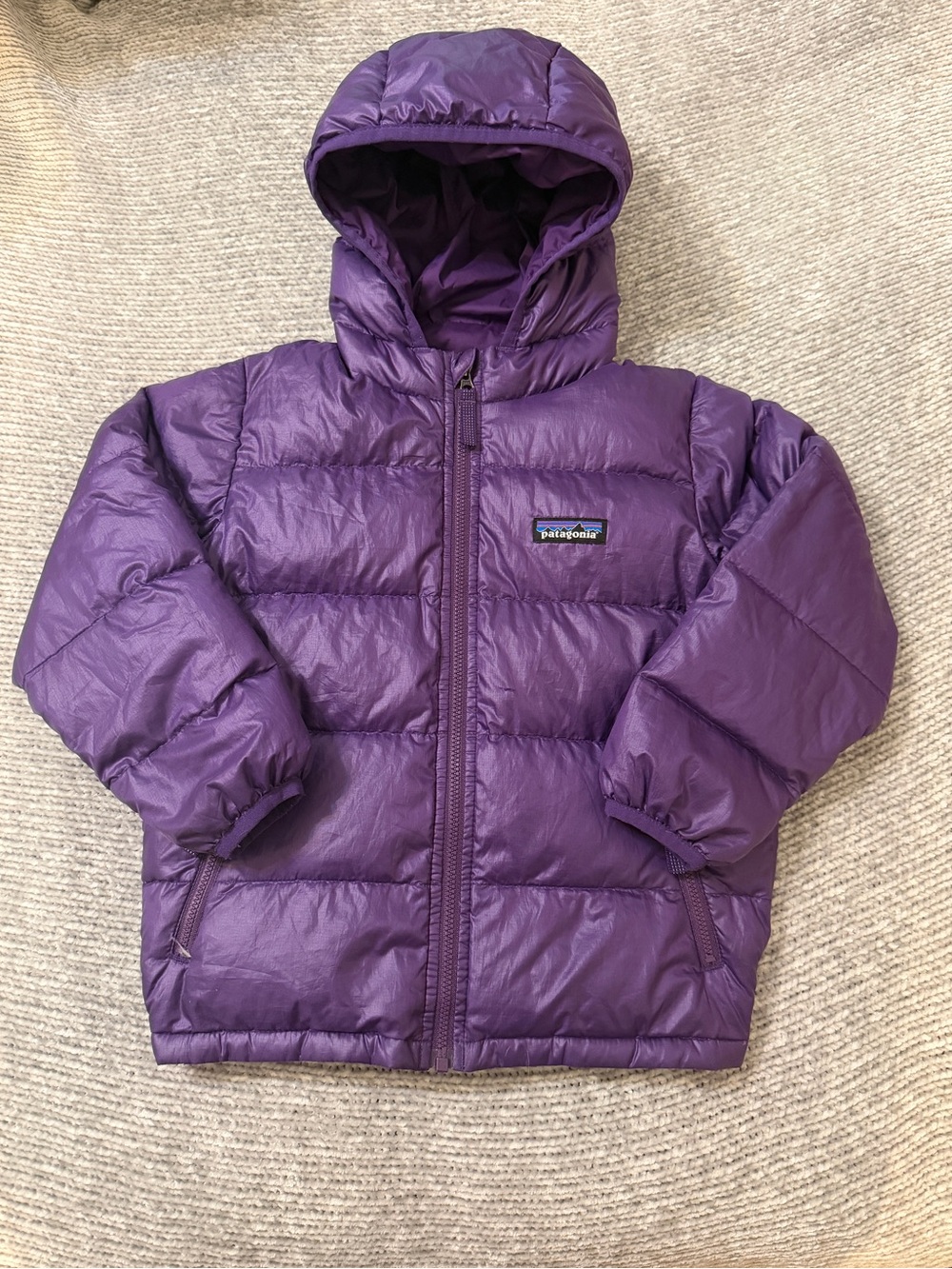 Patagonia Kids Hi-Loft Down Sweater Hoodie 4T